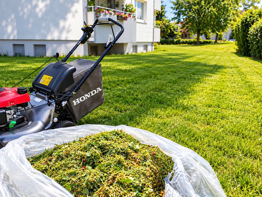 Rasenmäher und frisch geschnittenes Gras auf einer gemähten Rasenfläche vor einem Wohnhaus