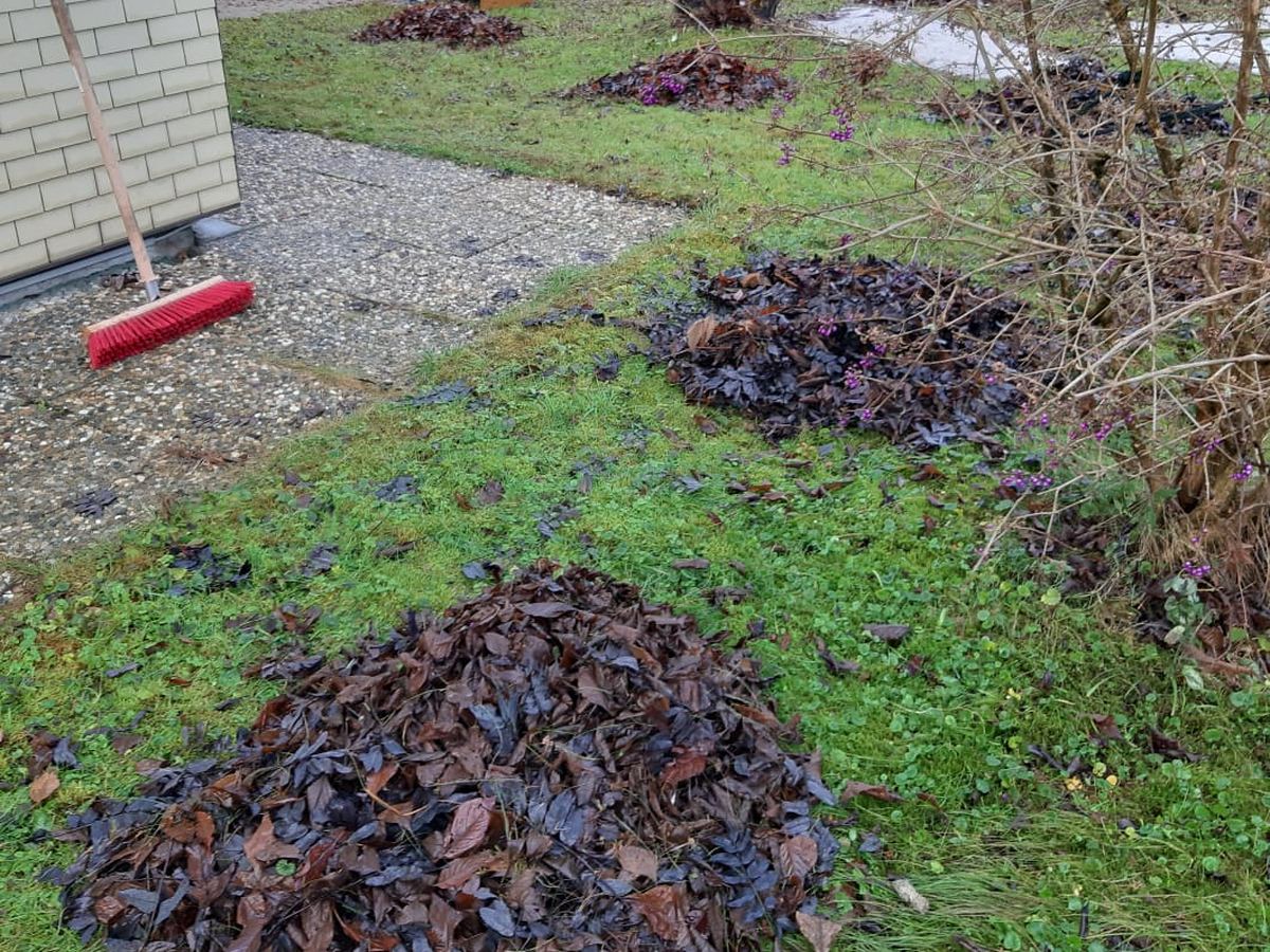 Zusammengerechte Laubhaufen auf einer Rasenfläche neben einem Wohnhaus, daneben ein Besen